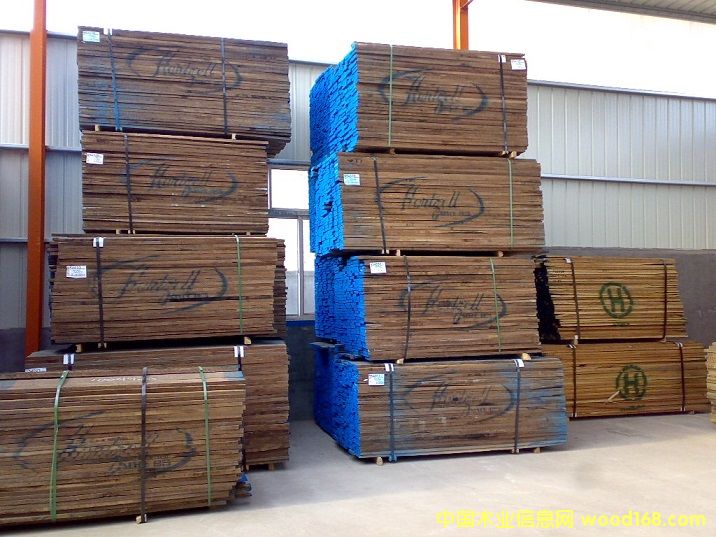 黑胡桃的詳細(xì)介紹