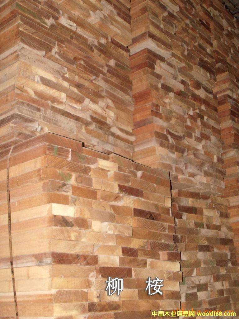 �c���鿴����ľ�Ŵ�DƬ