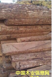 ���޻��� ����������̴�� Īɣ�ȿ˵�Ԕ��(x��)��B