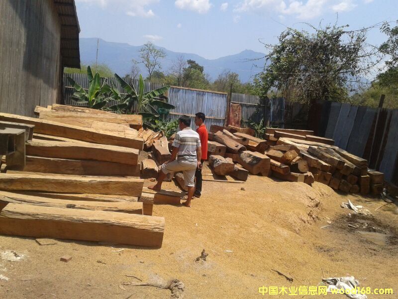 �ϓ뻨��ľ��Ԕ����B