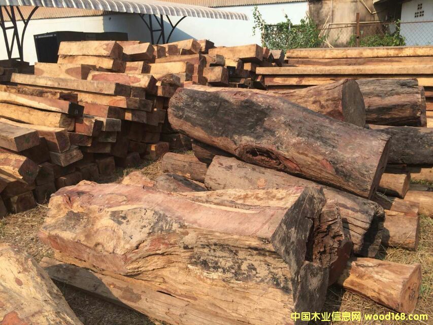 ����ľ��Ԕ����B