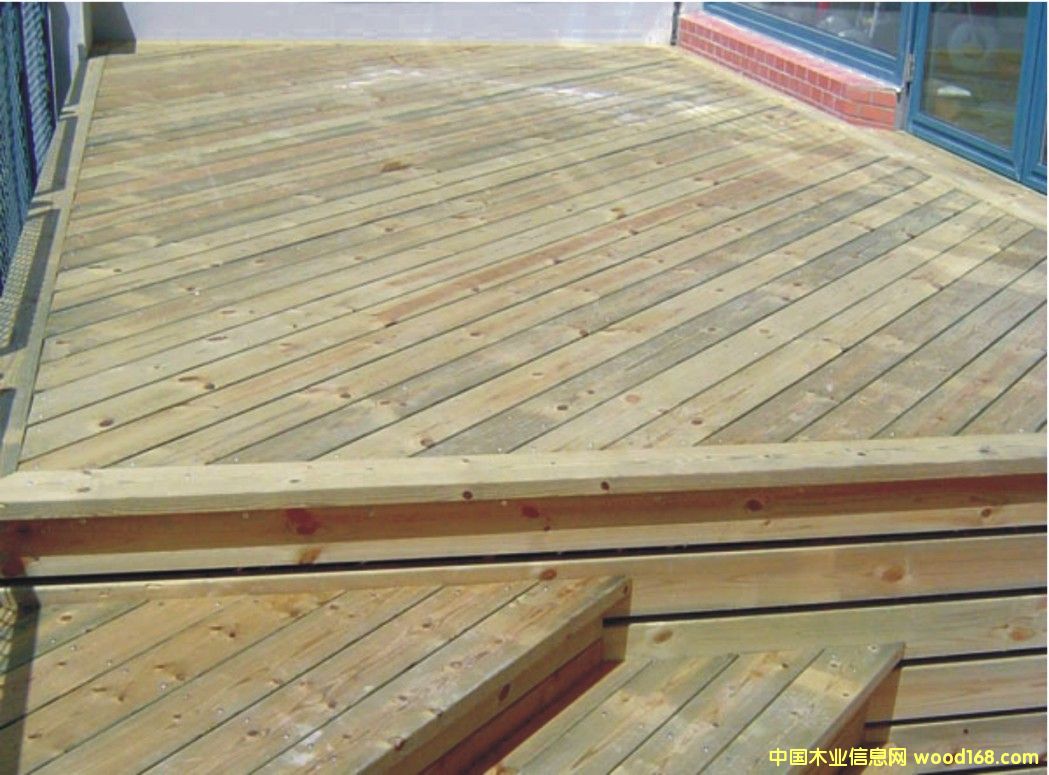 �c���鿴���mľ�Ŵ�DƬ