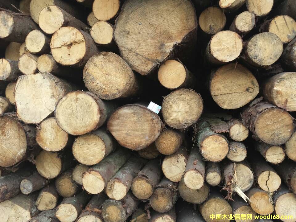 �W����ɼԭľ  ֱ����10cm-19cm