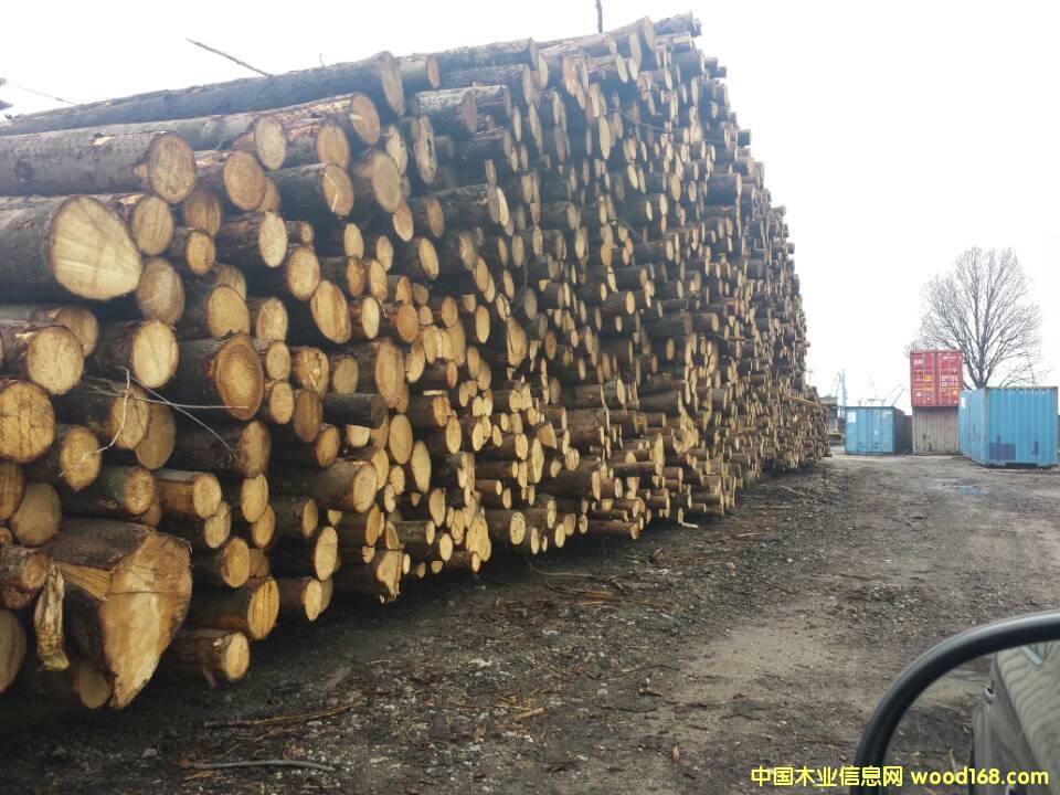 �W����ɼԭľ ֱ����20cm������