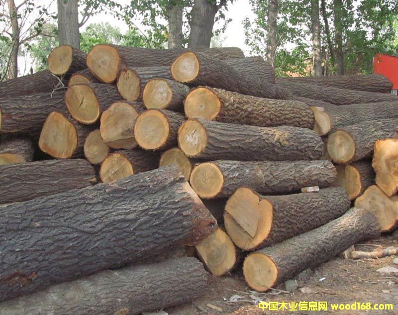 ��ľԭľ��Ԕ��(x��)��B