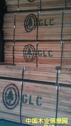 �c���鿴�t��Ŵ�DƬ