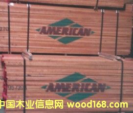 �c���鿴���ҷŴ�DƬ