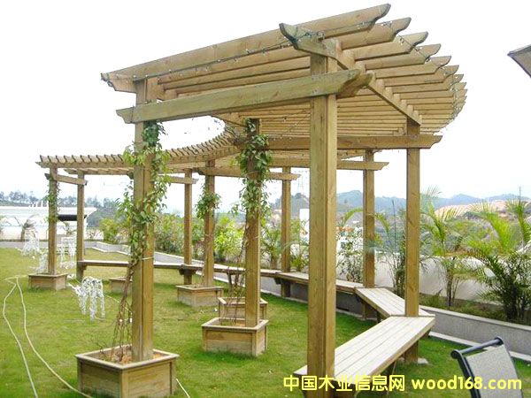 ����ľ�����ɵ�Ԕ����B