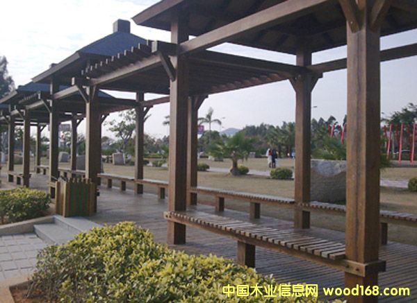 ����ľ����ľ