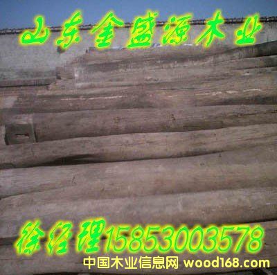 ����ľ��03��Ԕ����B