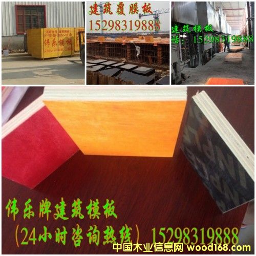 �c(di��n)���鿴��Ĥ����ģ��Ŵ�DƬ