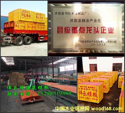 �c(di��n)���鿴��ľ��ľ����ģ��Ŵ�DƬ