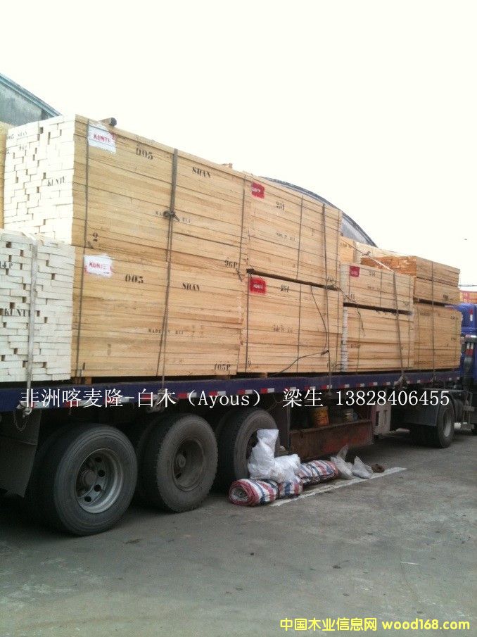 ���ް�ľ��Ayous����Ԕ��(x��)��B