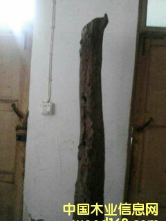 �c(di��n)���鿴С�~��̴�Ŵ�DƬ