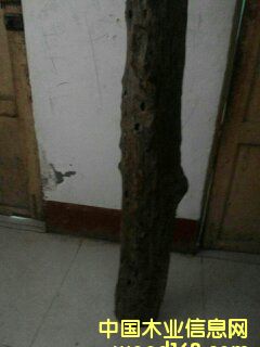 �c(di��n)���鿴С�~��̴�Ŵ�DƬ