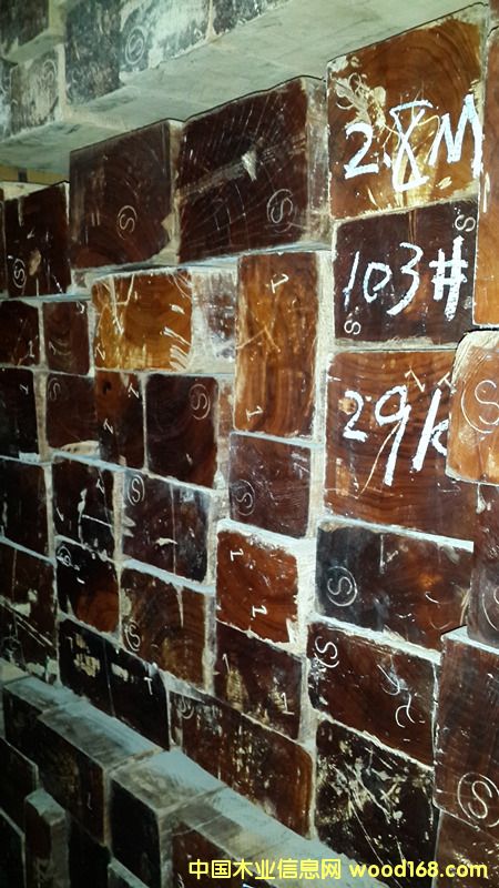 ������ľ���¾��l�ϵ�Ԕ����B