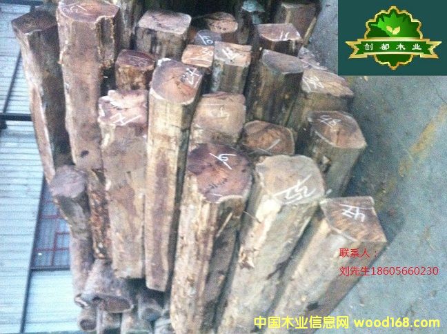 ���~�S����