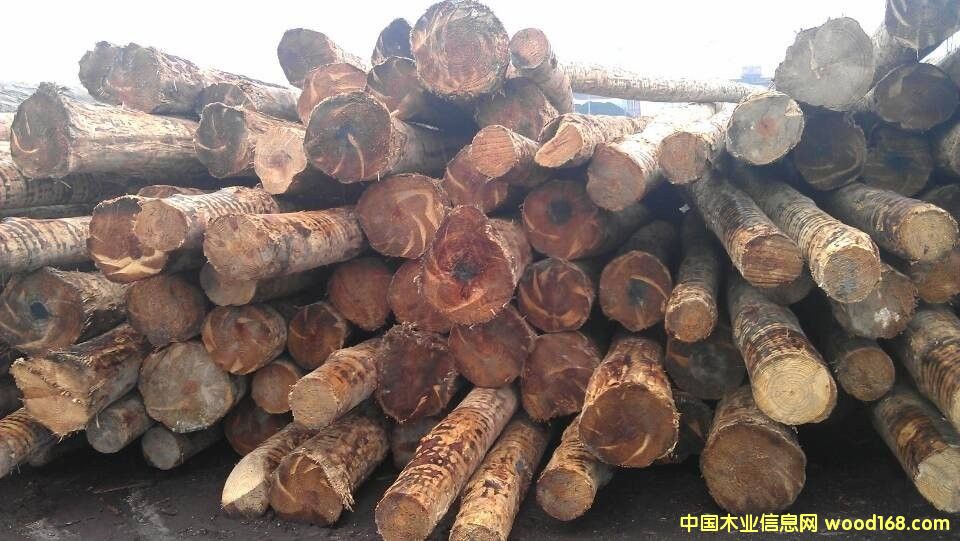 �����Ϸ���ԭľ��Ԕ����B