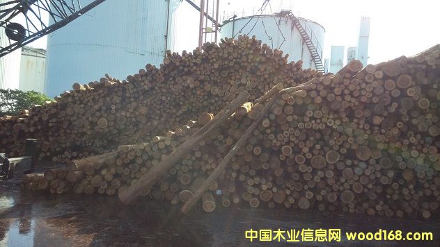 �ձ���ɼ��Ԕ��(x��)��B