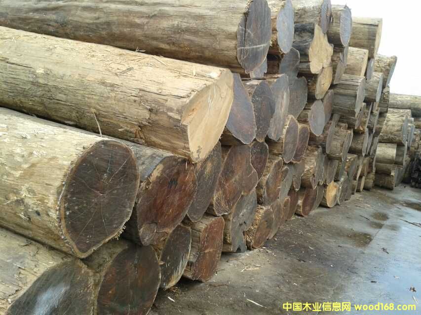 ������ľԭľ��Ԕ����B