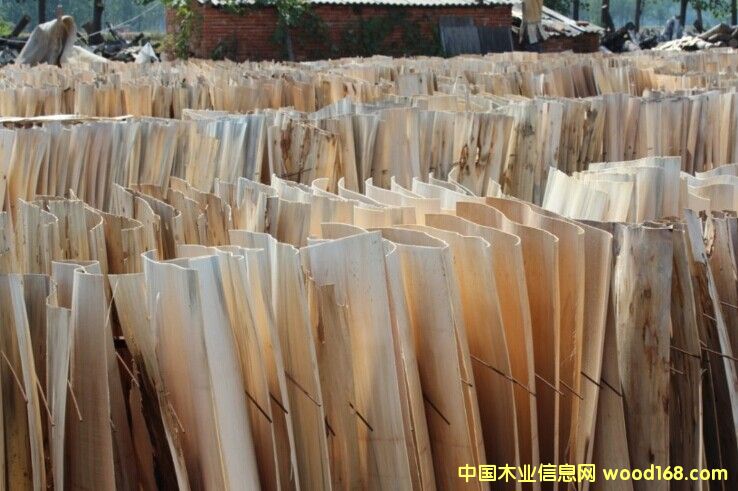 三無板的詳細(xì)介紹