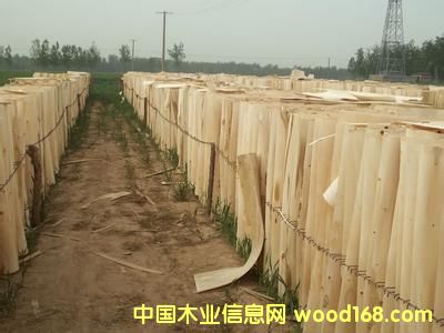 次面板的詳細(xì)介紹