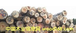 ��(y��u)�|A����Ʒ�|��ԭľ