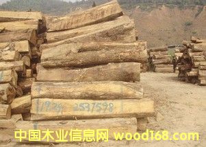 ��(y��u)�|���ށ�����