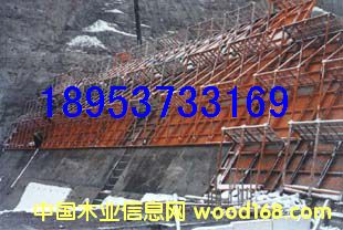 �۹����\�ģ�� ��ˮ��ˮ��ģ��