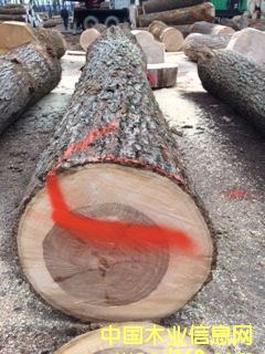 ɽ���ҵ�Ԕ����B