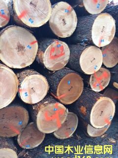 ����ľ��Ԕ����B