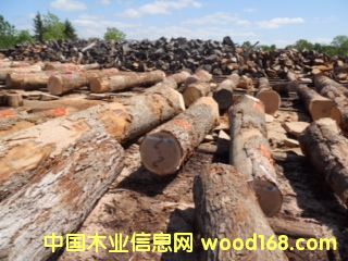 �����Ԕ����B