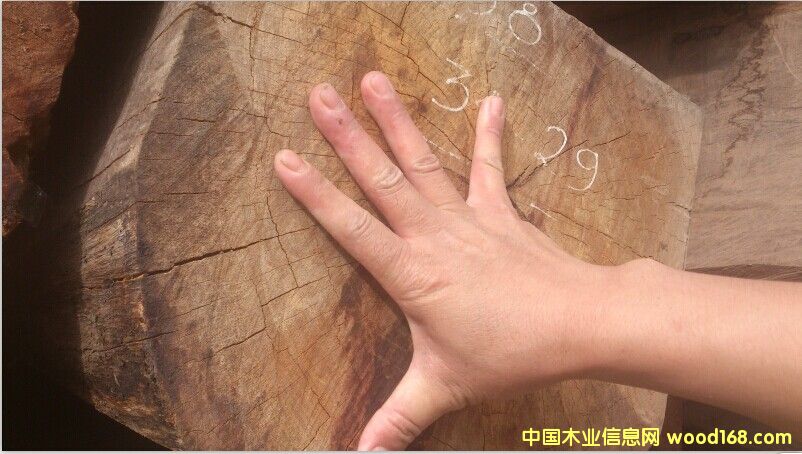 ���黨���Ԕ��(x��)��B