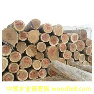 ���������� ��(y��u)�|���޻��� �����ޣ�