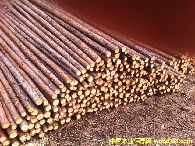 杉原木的詳細(xì)介紹