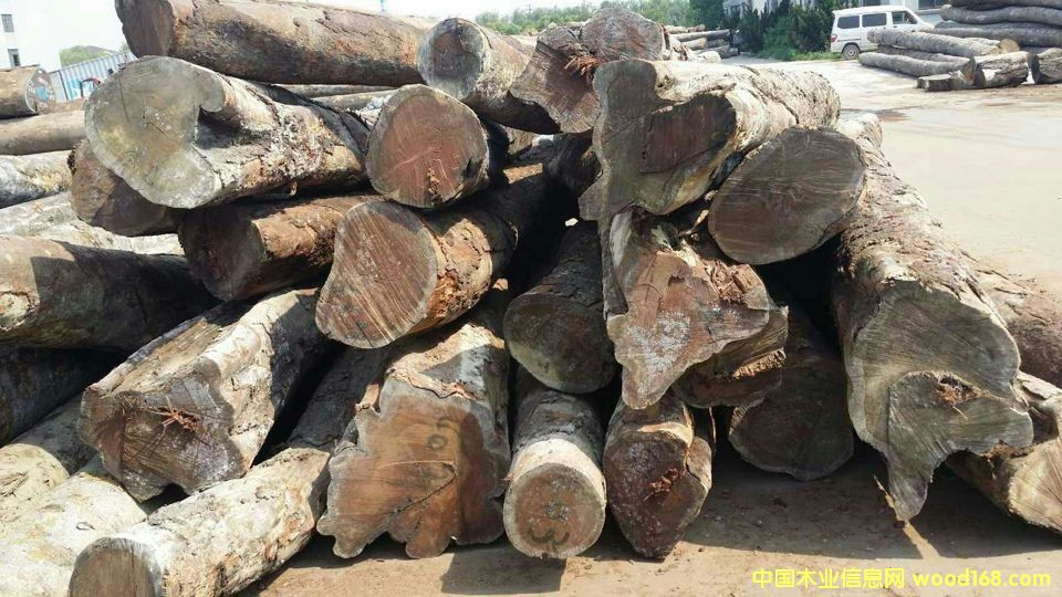 �c���鿴�������棨�Z�аͣ��Ŵ�DƬ