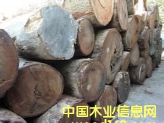 ӡ����ɽ̴��