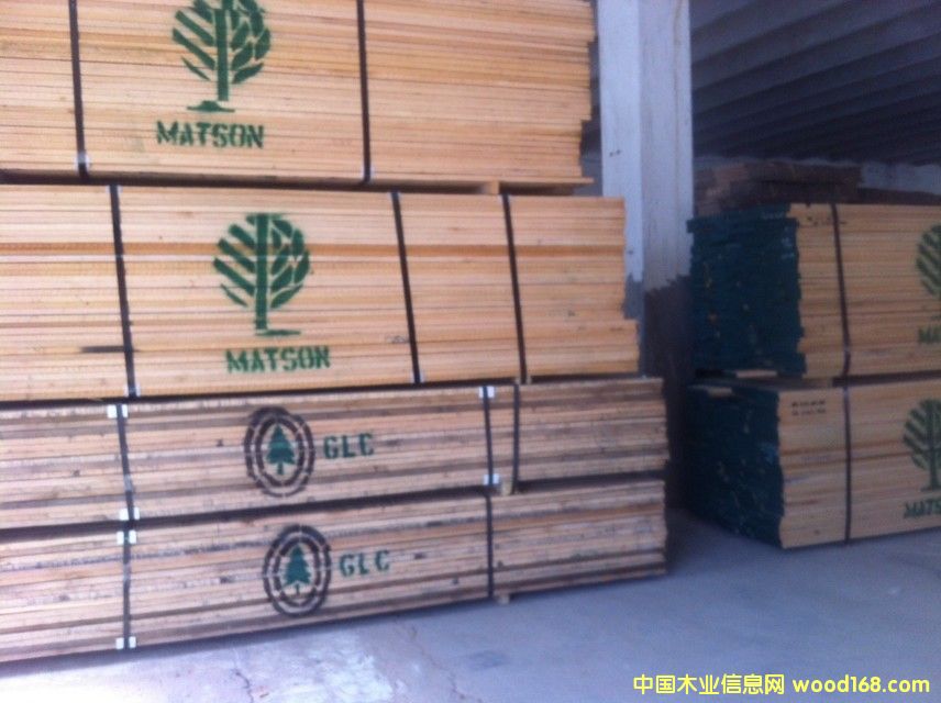 紅橡的詳細(xì)介紹