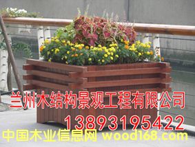 ����ľ����