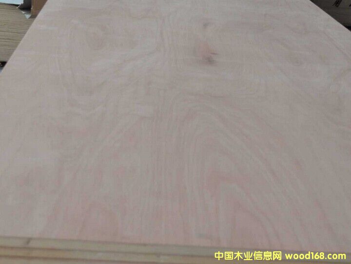 �Ҿ߼����ö��Ӱ��Ԕ��(x��)��B