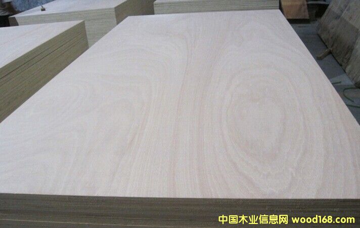 ��(y��u)�|(zh��)12mmE1���ߙn�Ҿ������Ӱ��Ԕ��(x��)��B