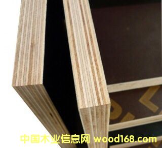 模板的詳細介紹