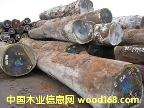 ΢���S̴������t��֦ 