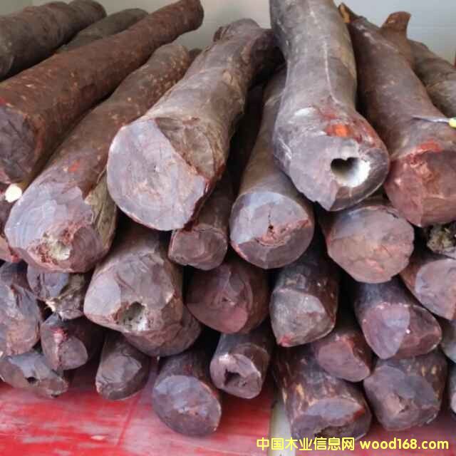 �c���鿴С�~��̴�Ŵ�DƬ