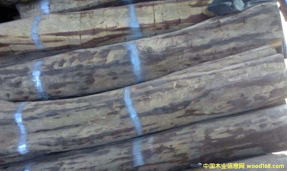 �c(di��n)���鿴�ϓ�t��֦�Ŵ�DƬ