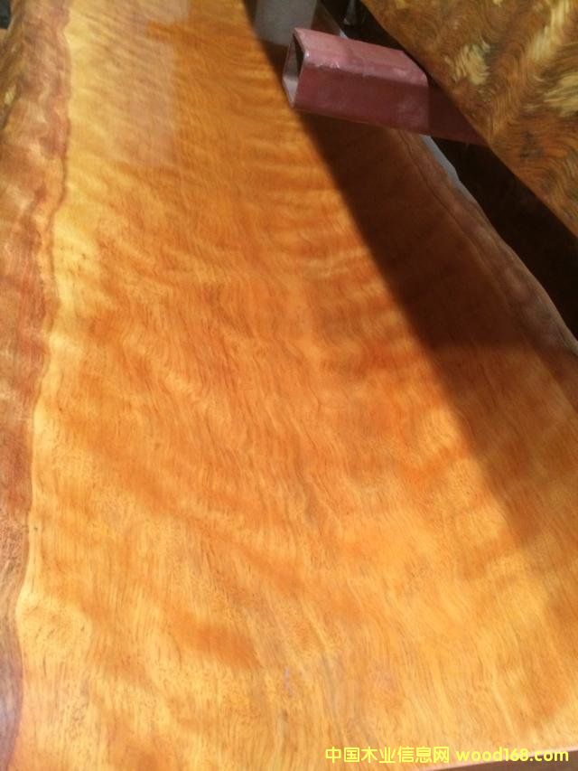 9的詳細(xì)介紹