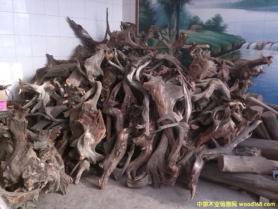 �c���鿴�°�ë�ϷŴ�DƬ