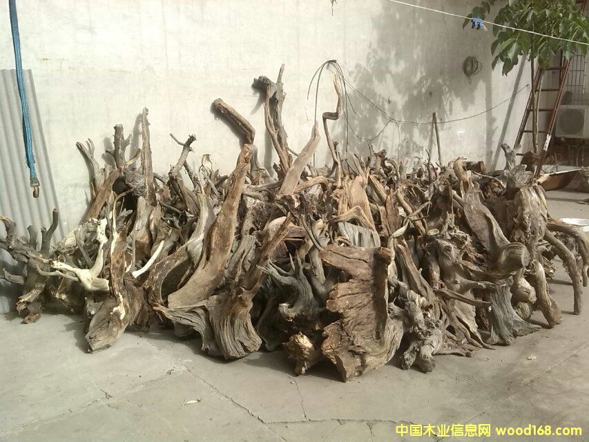 �c���鿴̫���°طŴ�DƬ