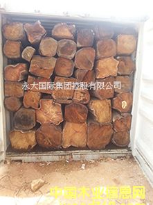 �ȽB-�����S����/�����̴/���ށ����� KOSSO