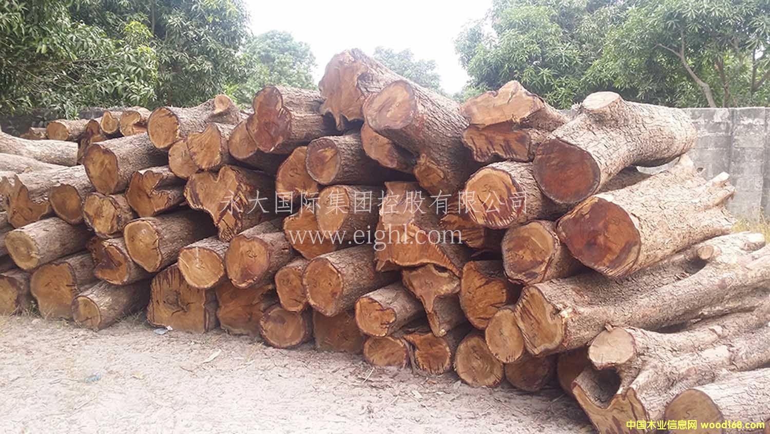 ���ȁ�-���ށ�����/�S����/���S/�����̴/